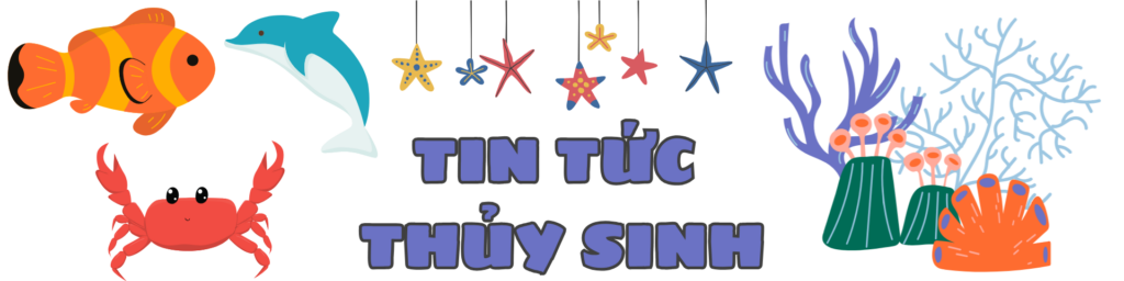 TIN TỨC THỦY SINH